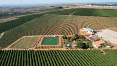 Projeto Serra do Salitre